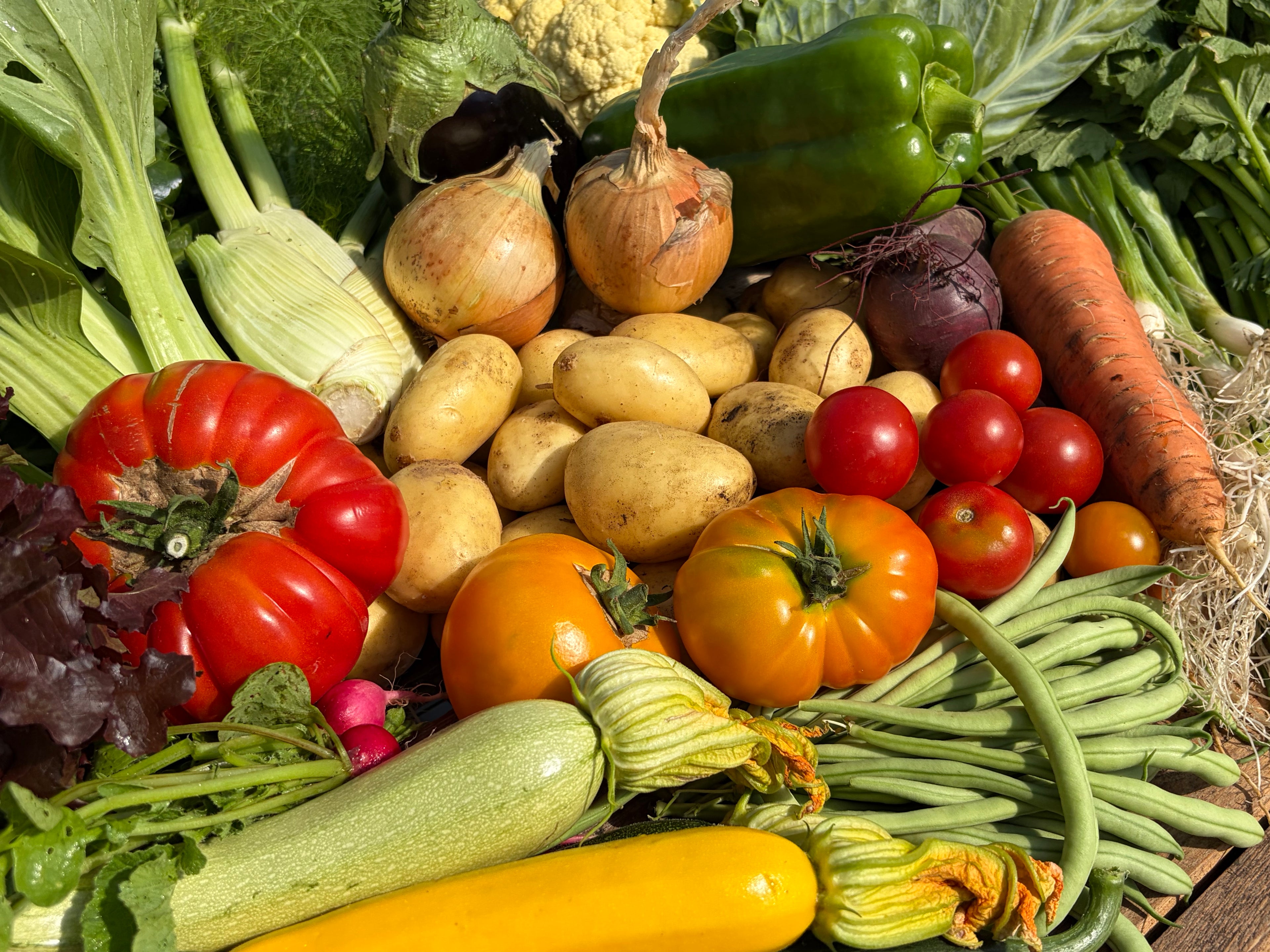29 August Course | Productive Vegetable Gardens