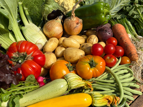 29 August Course | Productive Vegetable Gardens