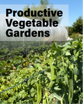 29 August Course | Productive Vegetable Gardens