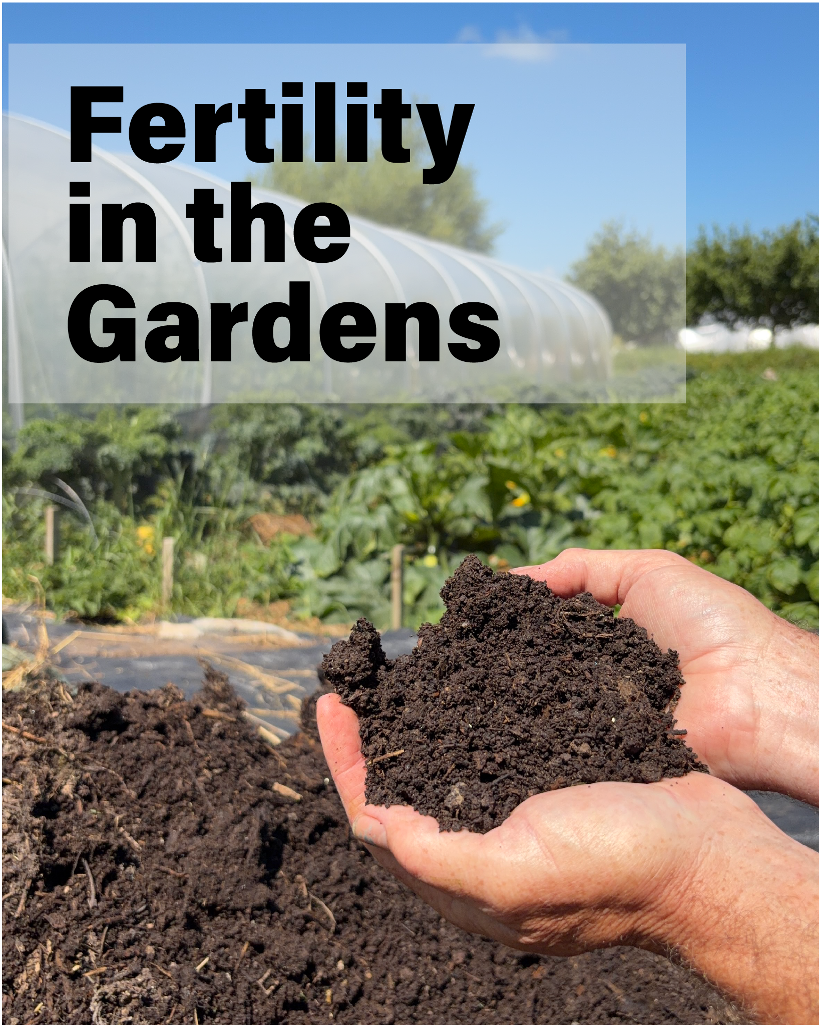 12 September Course | Fertility in the Gardens